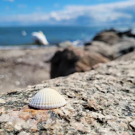 Moderne Lounge-ferienwohnung Mit Terrasse, Strandkorb, Parkplatz - 50 Meter Zum * זירקסדורף